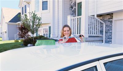 Car Wash Brush Mr Longarm (M7B) 0404 - Young Farts RV Parts