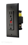 Receptacle RV Designer S807 Use With 125 Volt AC Grounded Two-Wire Branch Circuits (15 Amp Or 20 Amp Overcurrent Protected Systems); Ground Fault Interrupter Type; Black; With Cover Plate