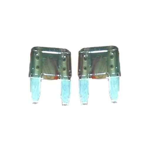 2 Amp Fuse Mini Pair - Young Farts RV Parts