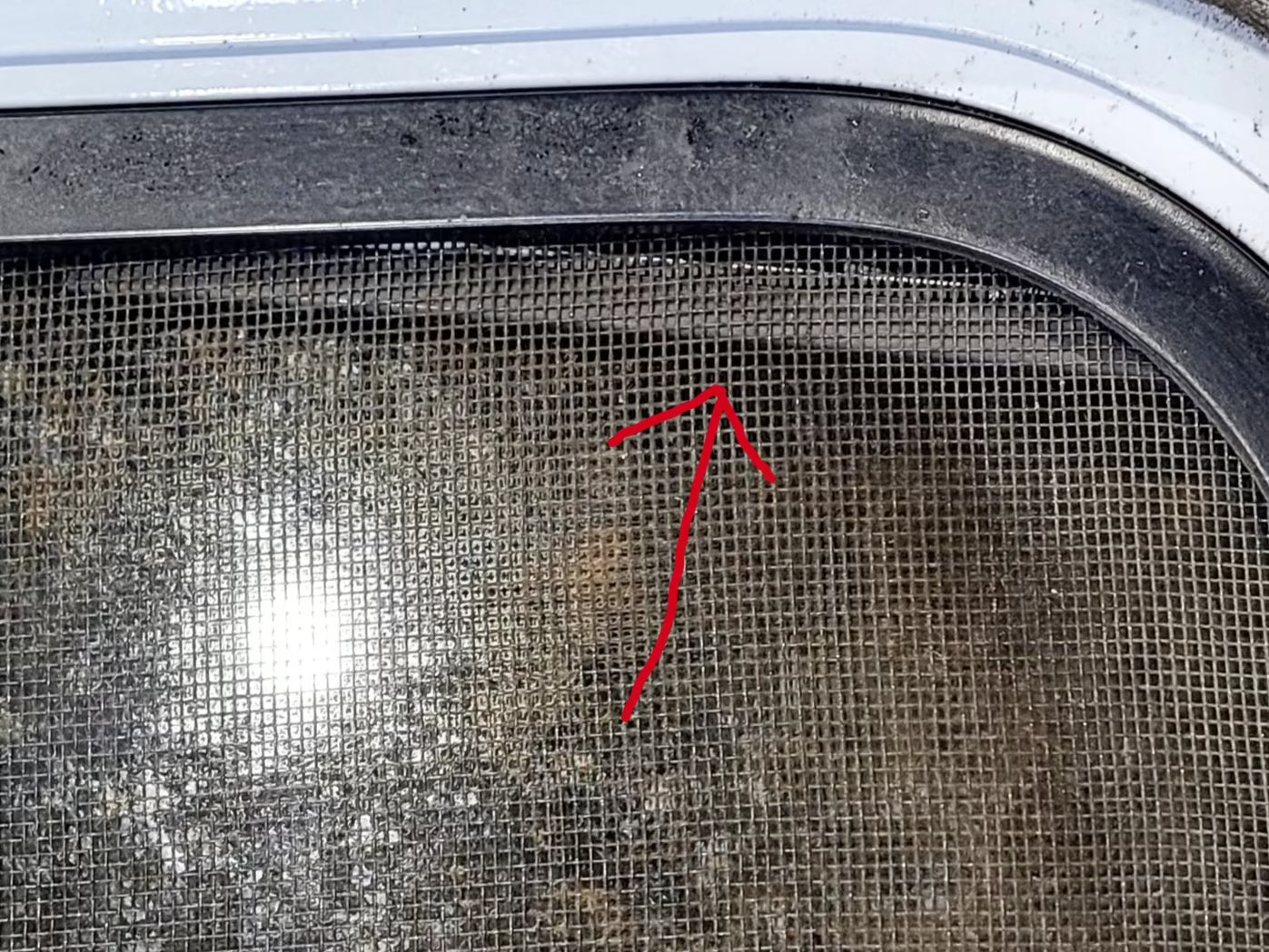 Used White Radius Opening Window : 48 1/4" W x 31 3/4" H x 1 3/4" D - Young Farts RV Parts