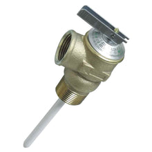 Load image into Gallery viewer, 3/4&quot; Temperature and Pressure Relief Valve with 4&quot; Epoxy - Coated Probe - Young Farts RV Parts
