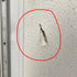 Used RV Radius Corner Entry Door 29 1/2" W x 71 1/4" H