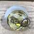 Used Wall Mount Light with Switch