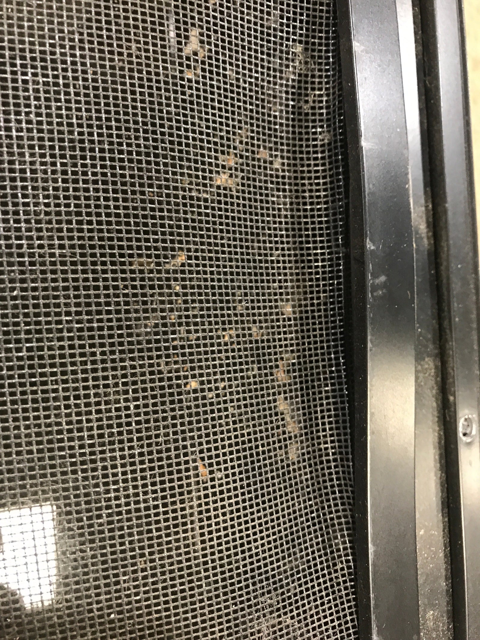 Used Black Radius Emergency Opening Window : 29.5