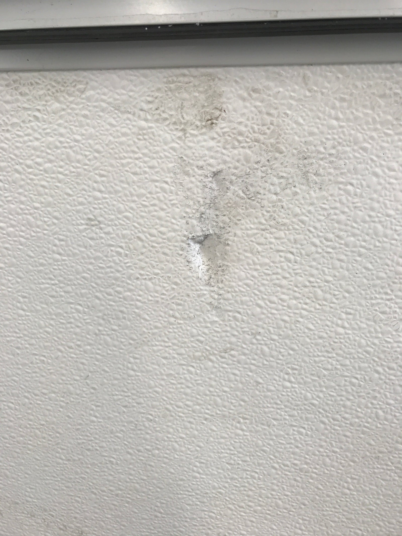 Used Radius Cornered Cargo Door 69 1/4