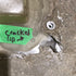 Used Outer Skylight 21 1/4" X 18 1/2"