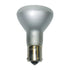 Bulb 1383 Pair - Young Farts RV Parts