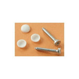 Dashboard Screws/Caps White