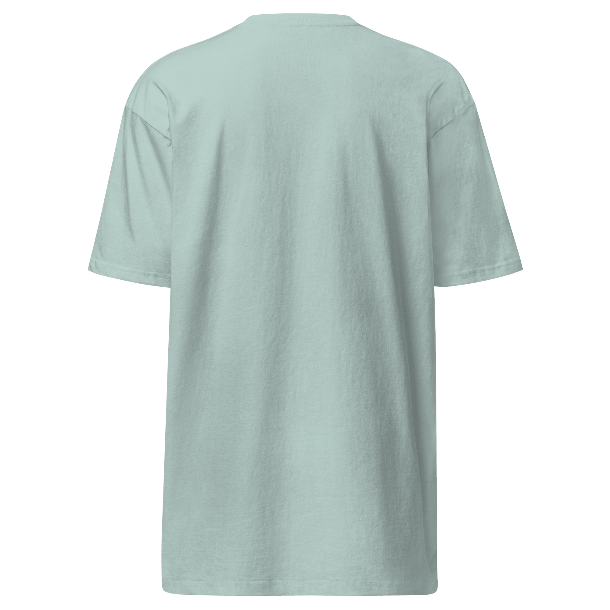 I’m a Professional T-Shirt - Young Farts RV Parts