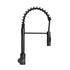 Lippert Components 2021090598 - Coiled Pull - down Faucet Matte Black - Young Farts RV Parts