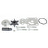 Sierra Marine 183475 Water Pump Kit - For Yamaha 2001 - 2010 T8/ 2007 - 2018 T9.9 Engines - Young Farts RV Parts