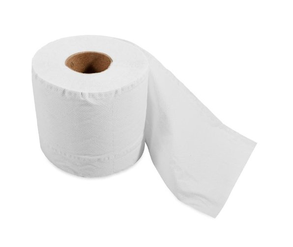 Toilet Tissue Camco 40280 TST ™, 2 Ply, Single Roll - Young Farts RV Parts