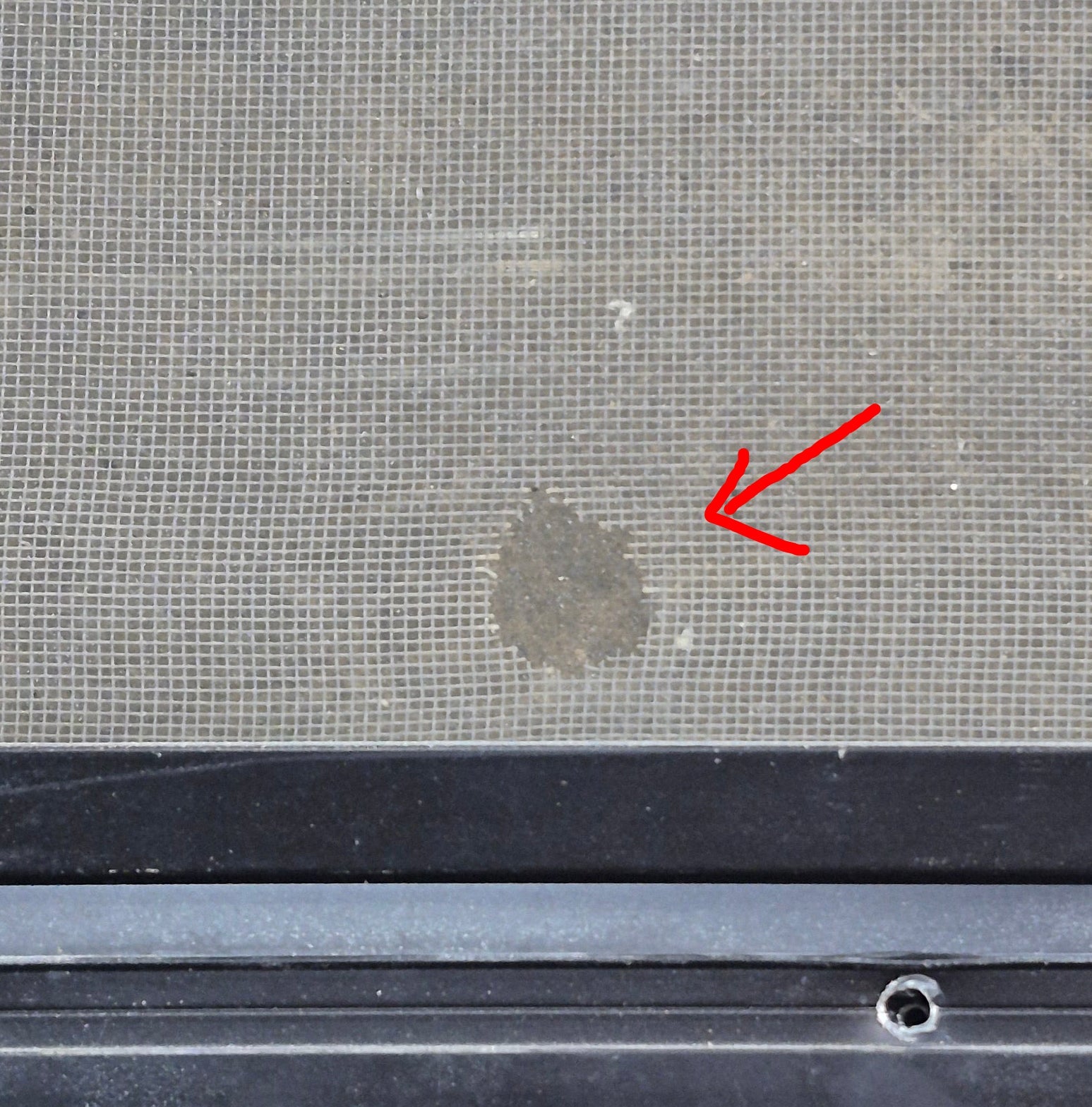 Used Black Radius Opening Window : 41 1/4" W x 21 1/2" H x 1 7/8" D - Young Farts RV Parts