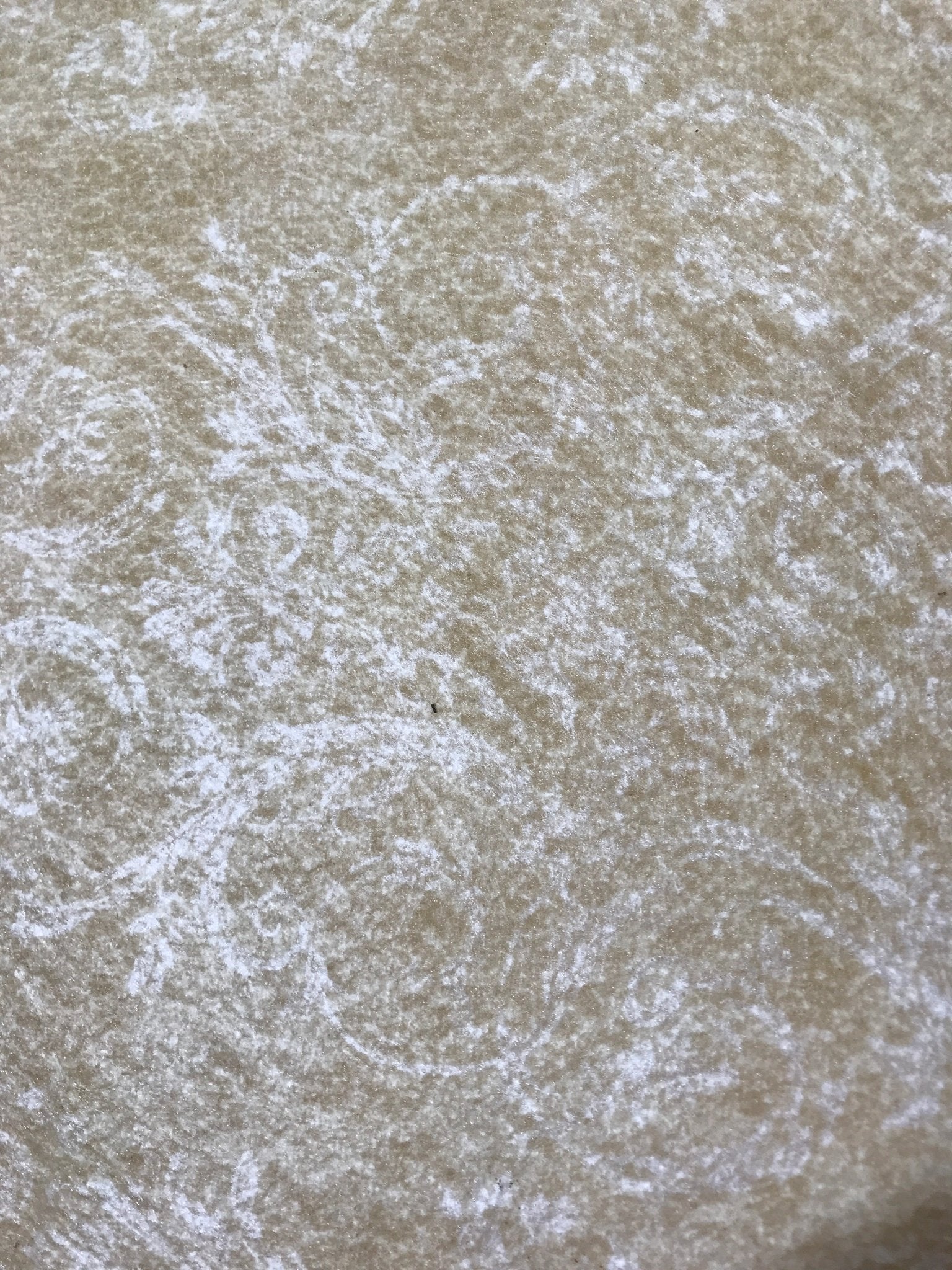 Used Bunk Mattress 36