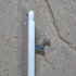 Used Carefree Awning Arm, 72", Silver (Satin) - Fiesta - Young Farts RV Parts