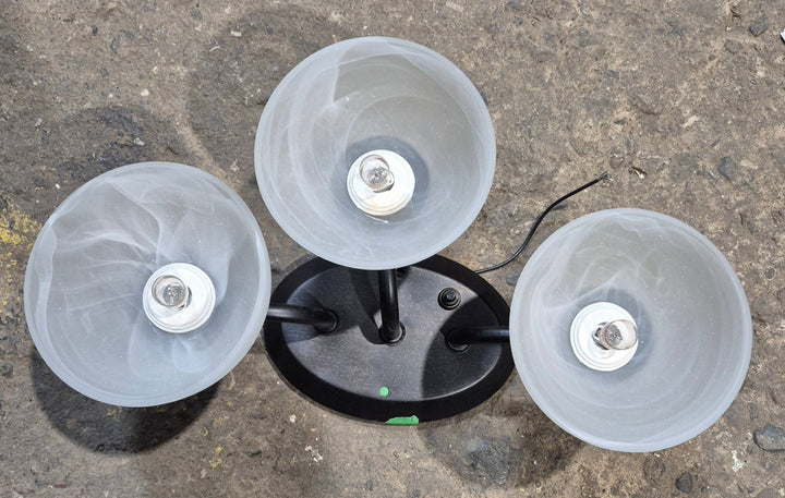 Used Interior Ceiling Mount Light Fixture - Young Farts RV Parts
