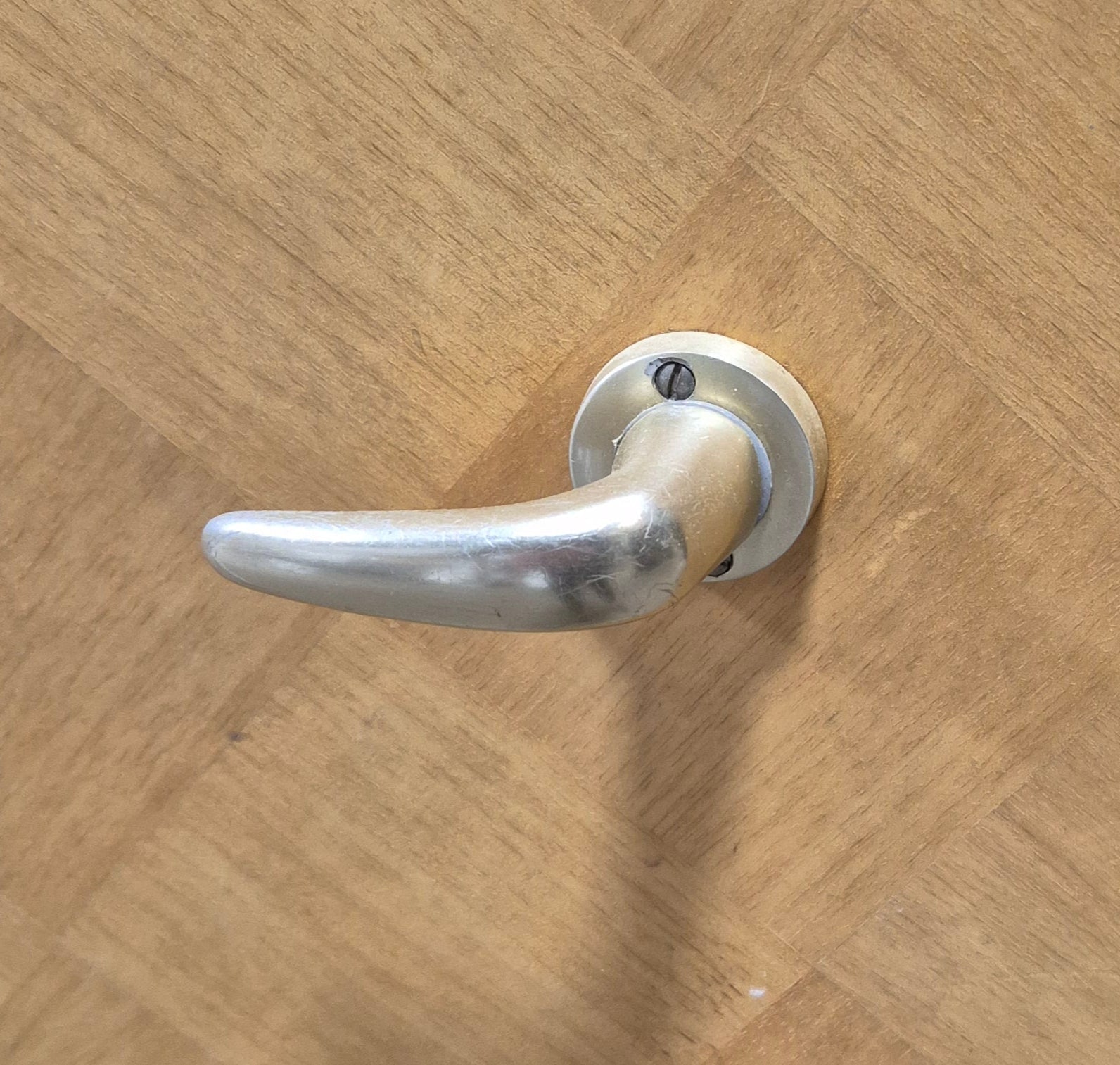 Used Interior Wooden Door 19 5/8" W x 70 7/8" H x 3/8" D - Young Farts RV Parts