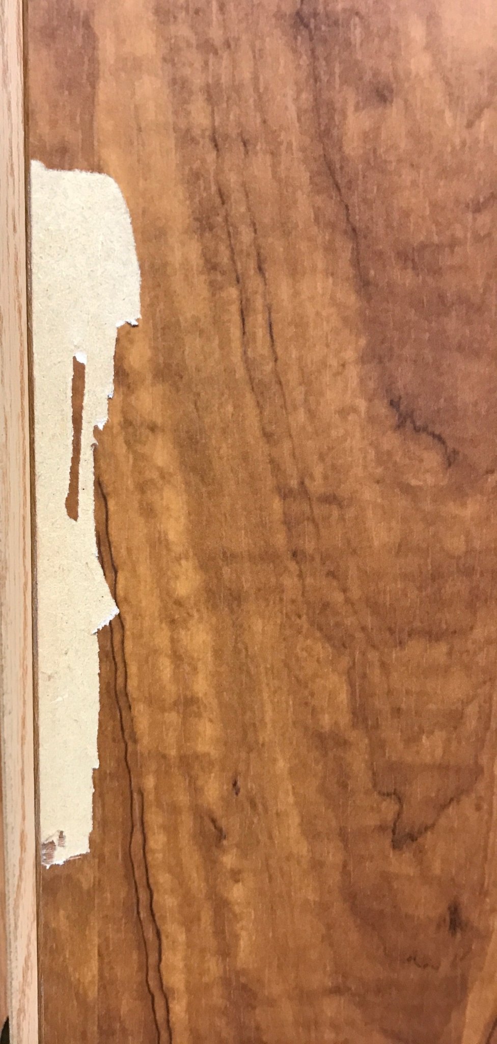 Used Interior Wooden Door 24" W X 69" H X 1 1/4" D - Young Farts RV Parts