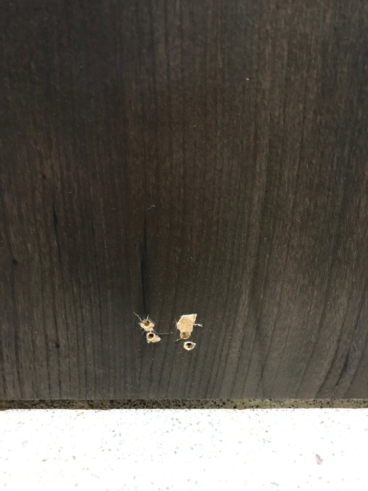 Used Interior Wooden Door 24" W X 74" H X 1 1/4" D - Young Farts RV Parts