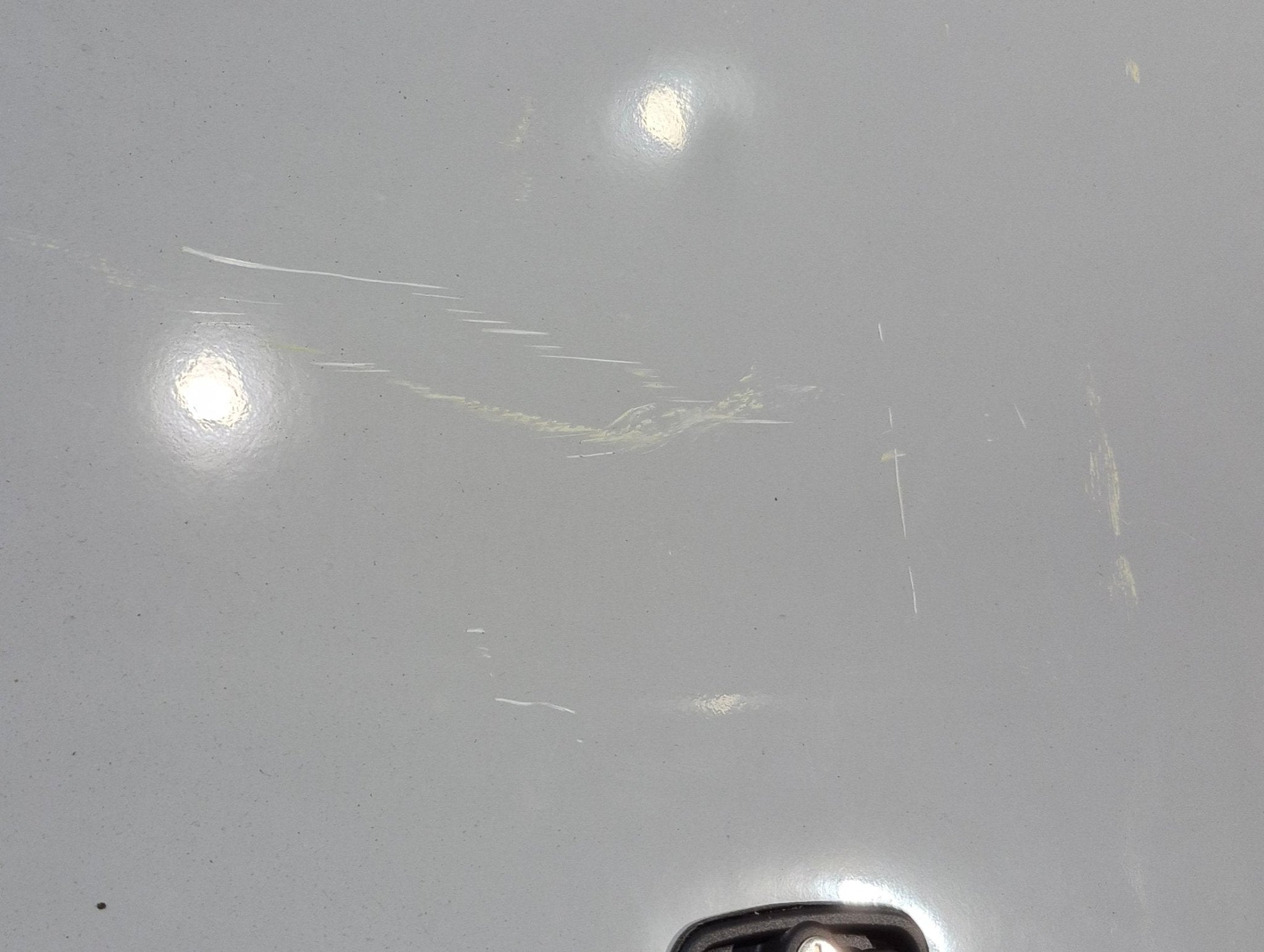 Used Radius Cargo Door 55 3/4" x 23 1/2" X 1 1/2" D - Young Farts RV Parts