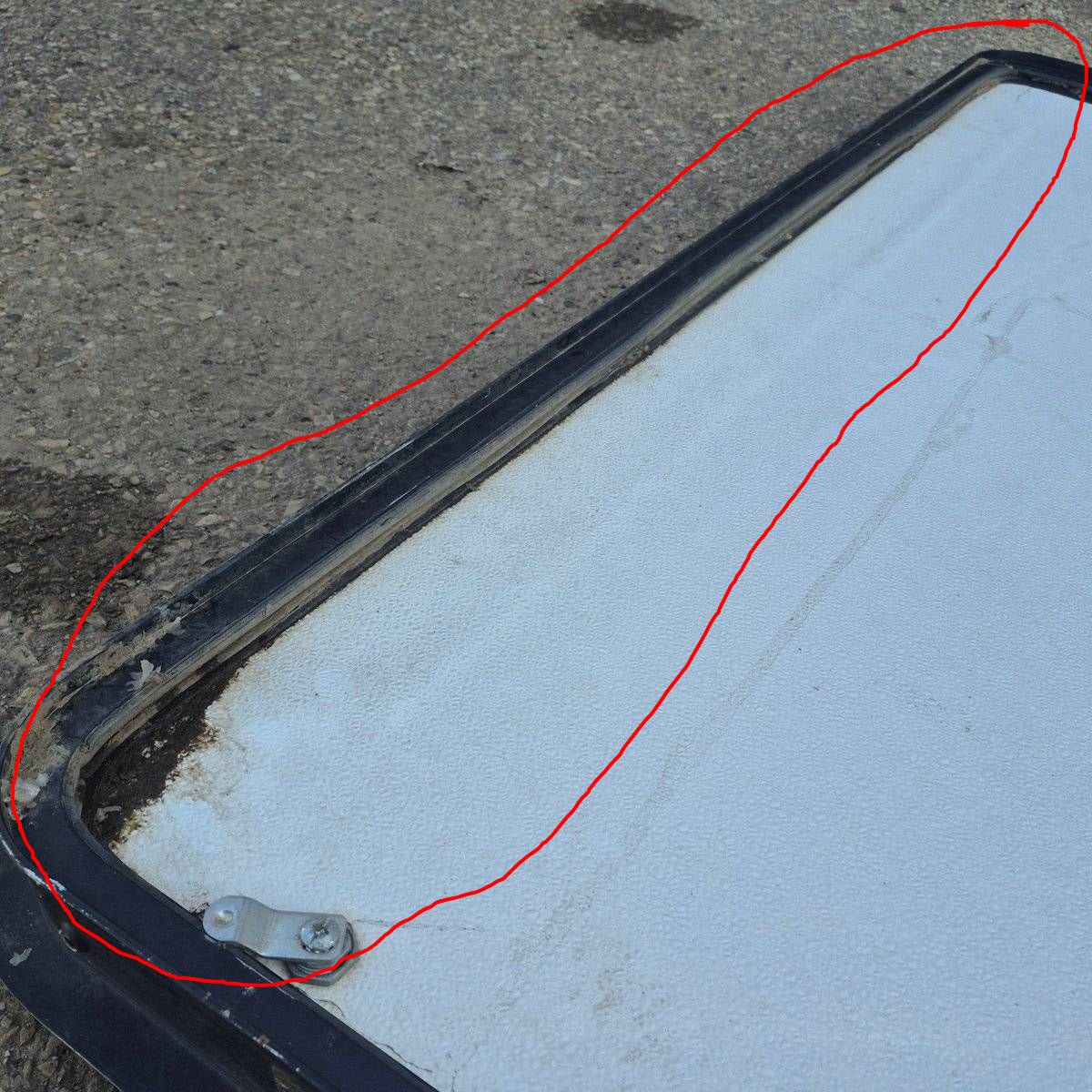 Used Radius Cornered Cargo Door - 65 5/8
