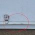Used Radius Propane/ Battery Cargo Door - 59 5/8" X 29 3/4" X 1" - Young Farts RV Parts
