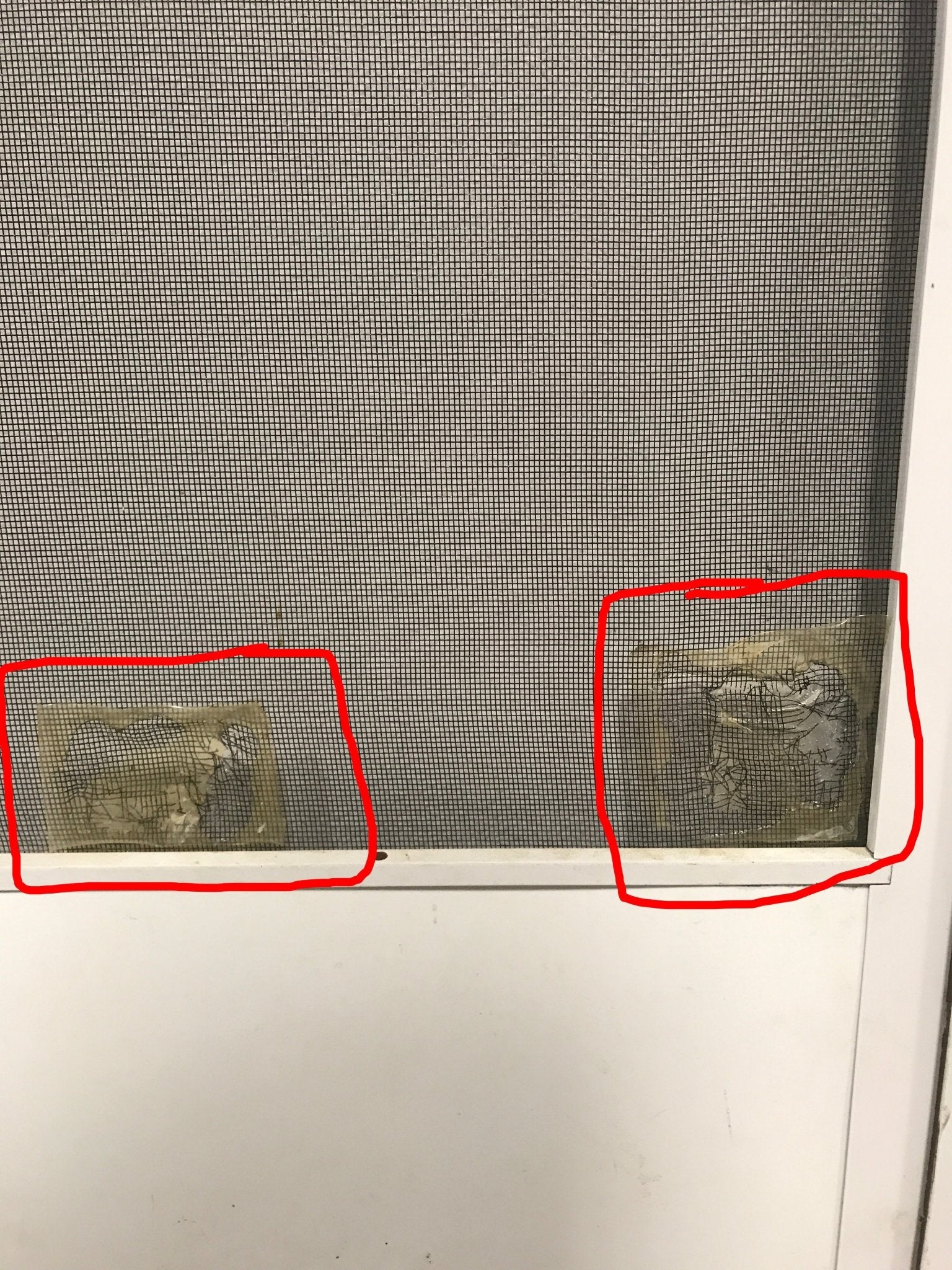 Used RV Radius Entry Door 25 1/2" W x 68 1/2" H - Young Farts RV Parts