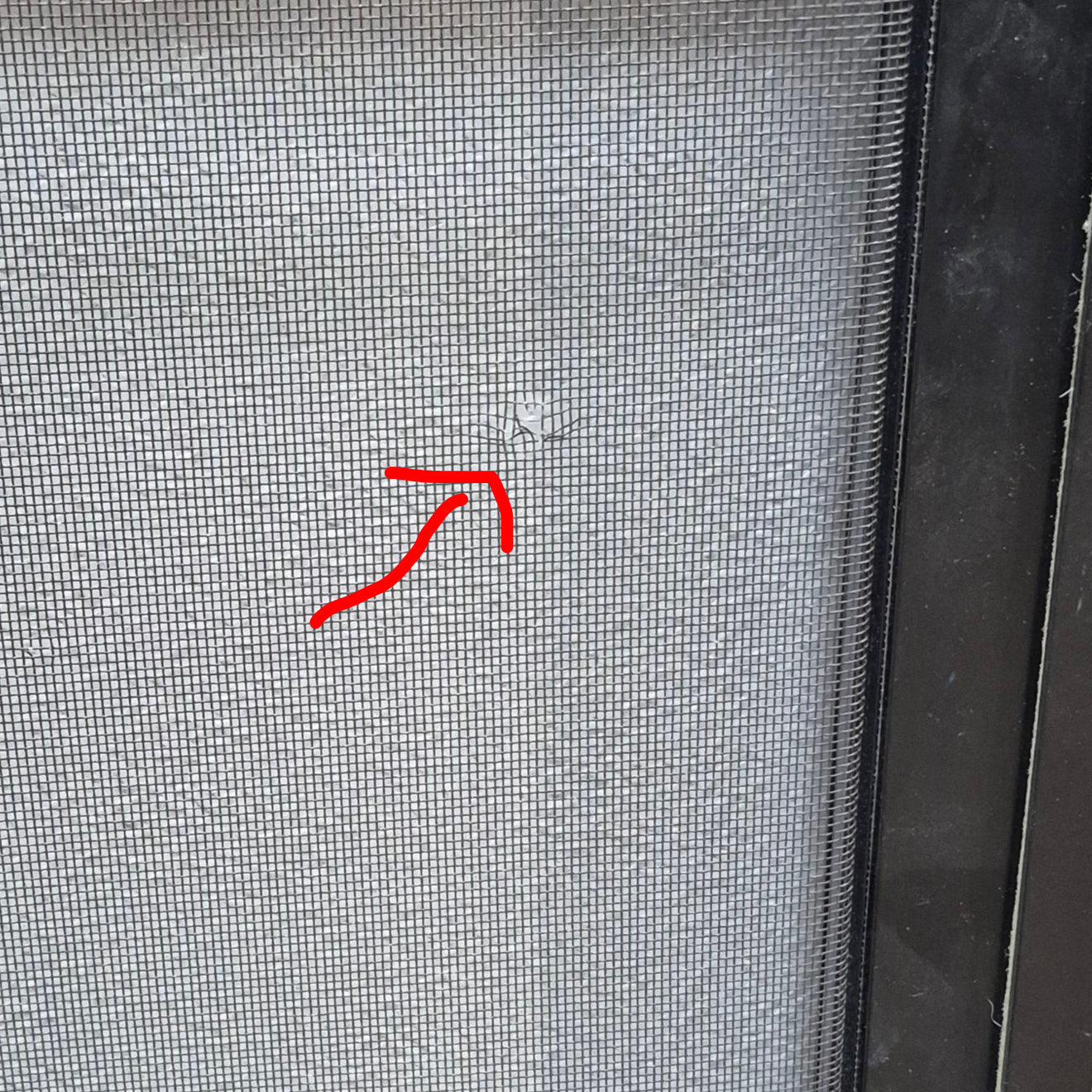 Used RV Radius Entry Door 25 3/4