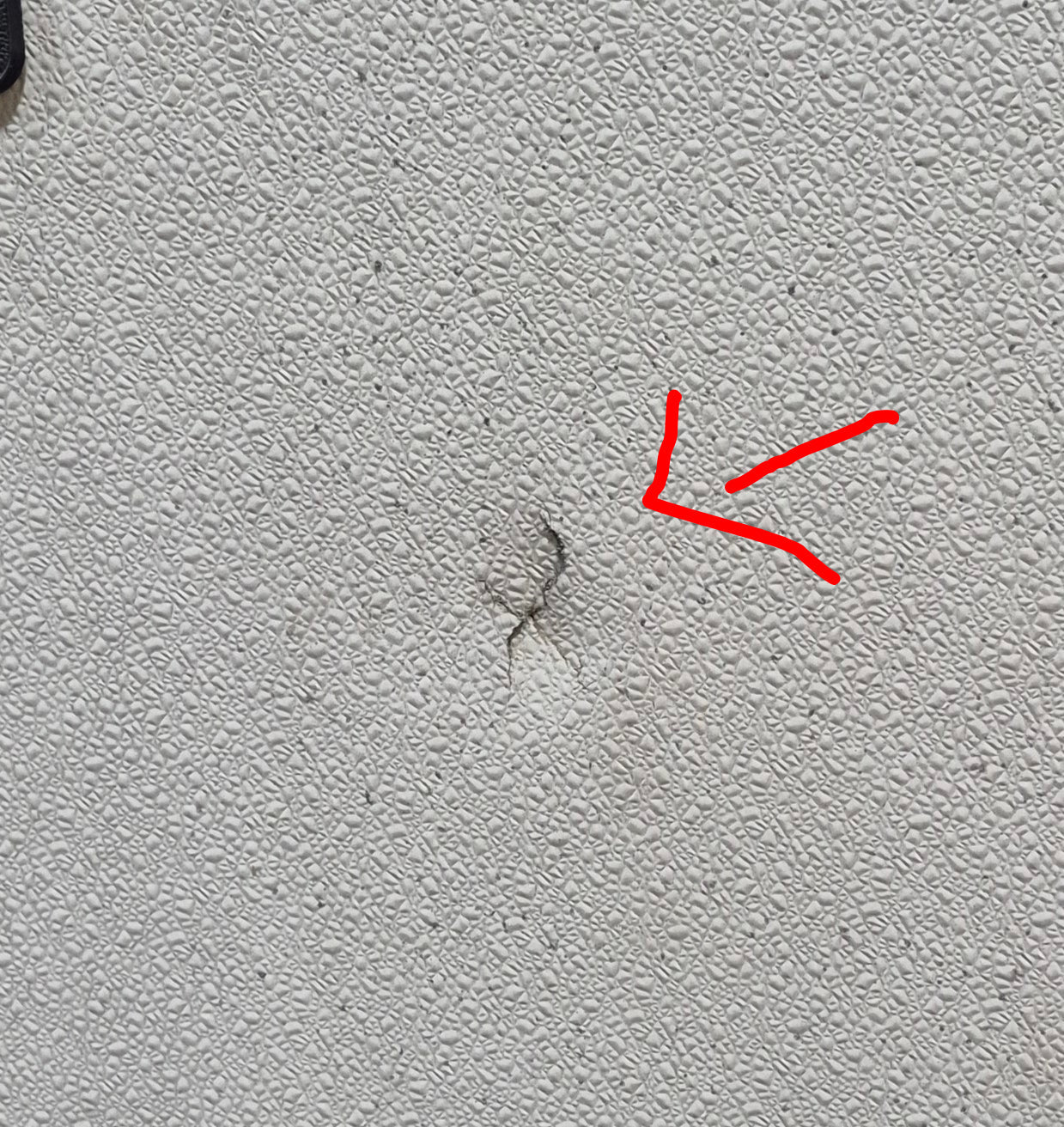 Used RV Radius Entry Door 25 3/4" W x 71 3/8" H - Young Farts RV Parts