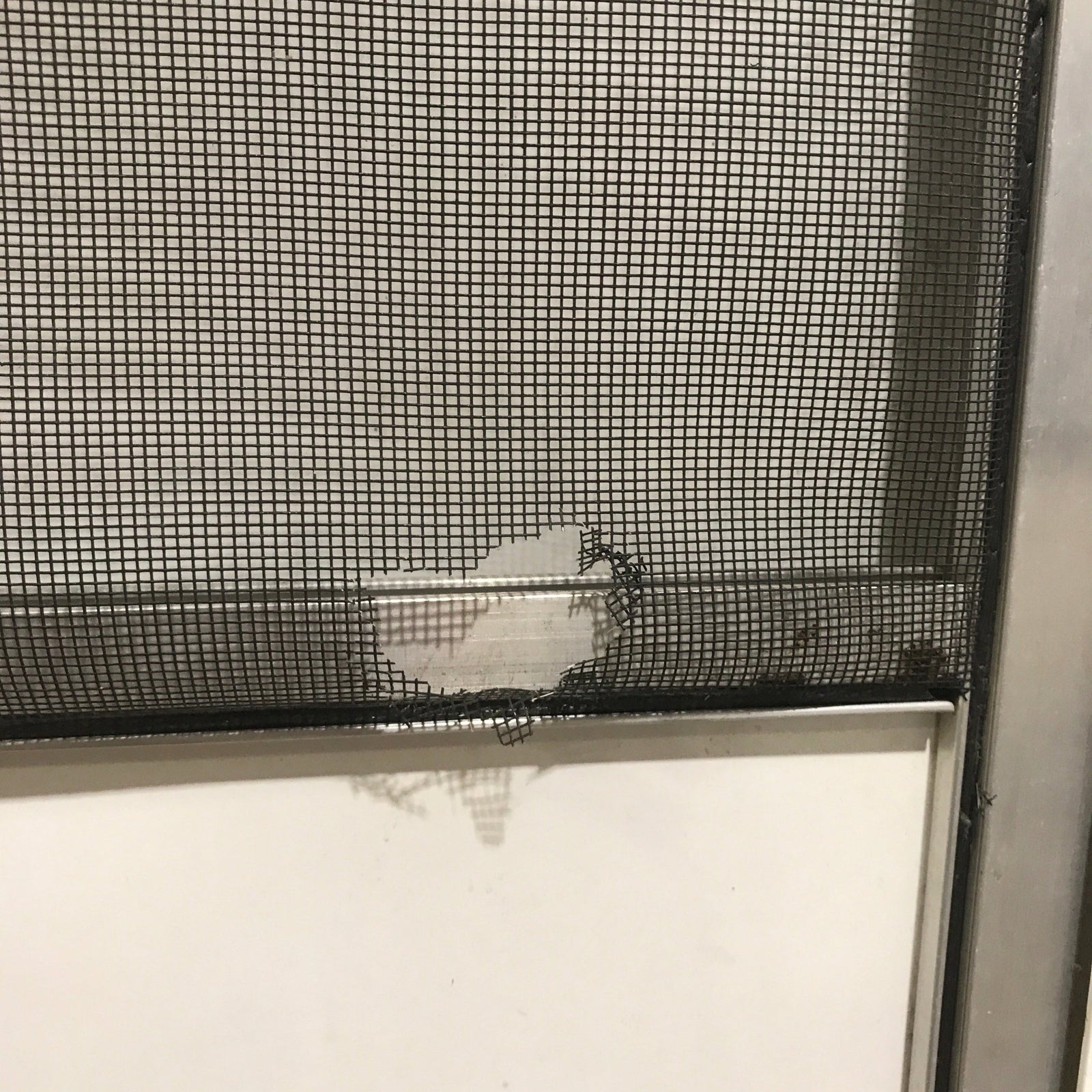 Used RV Square Corner Entry Door 26 3/4