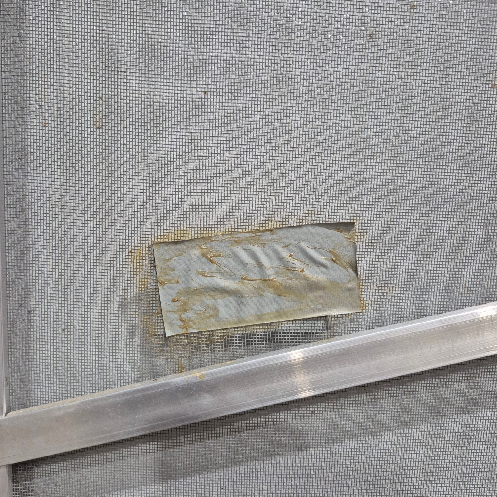 Used RV Square Entry Door 24 1/8" x 69 3/4" - Young Farts RV Parts