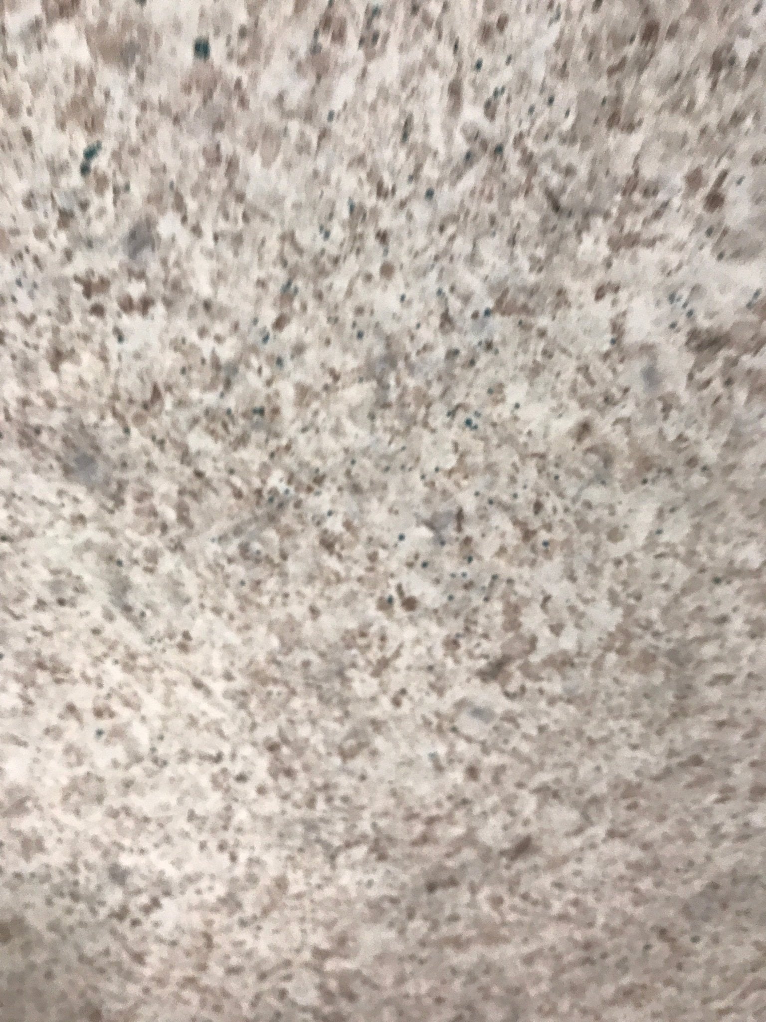 Used RV Table Top 28