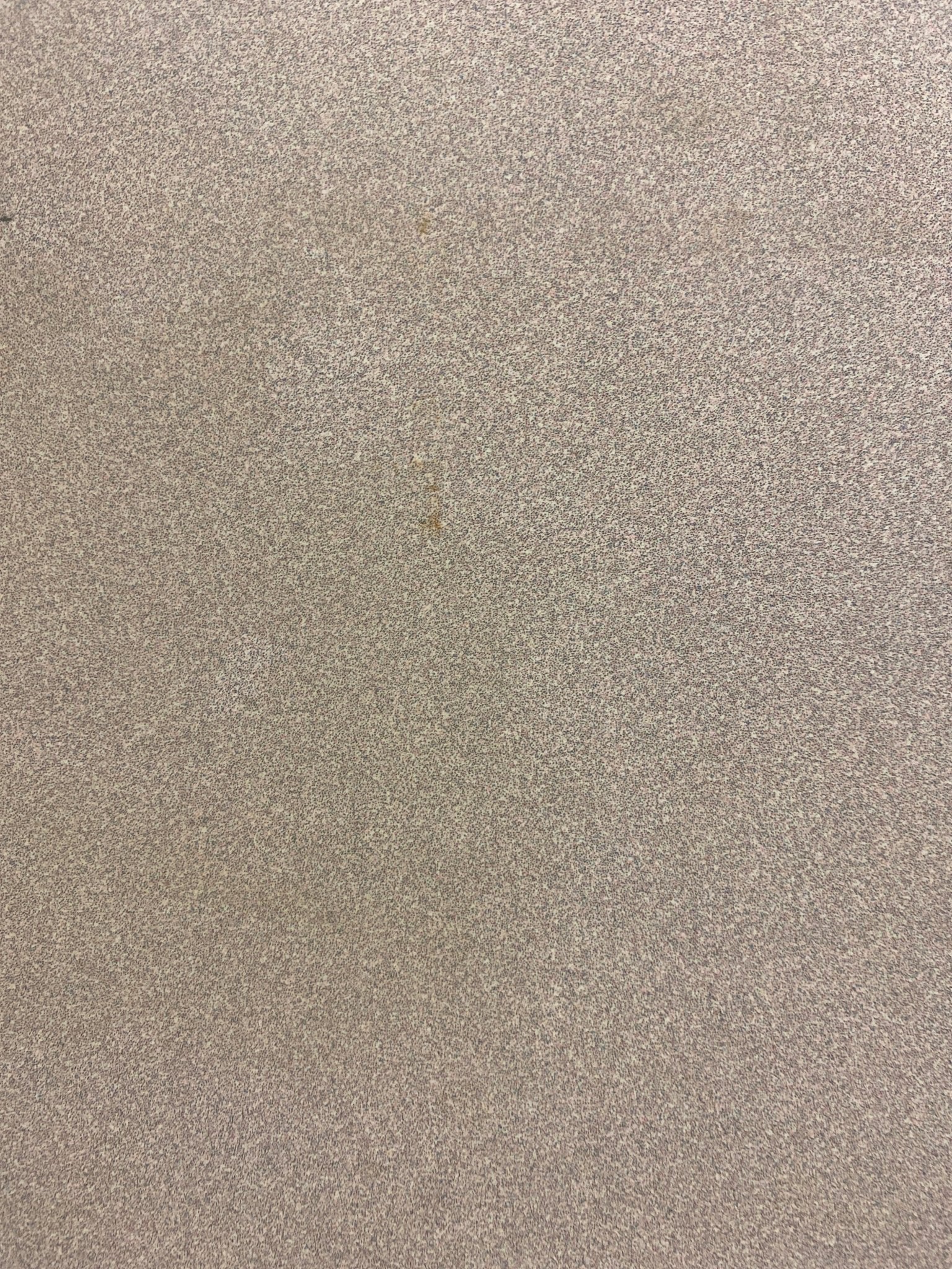 Used RV Wall Mount Table Top 32" L x 28" W - Young Farts RV Parts