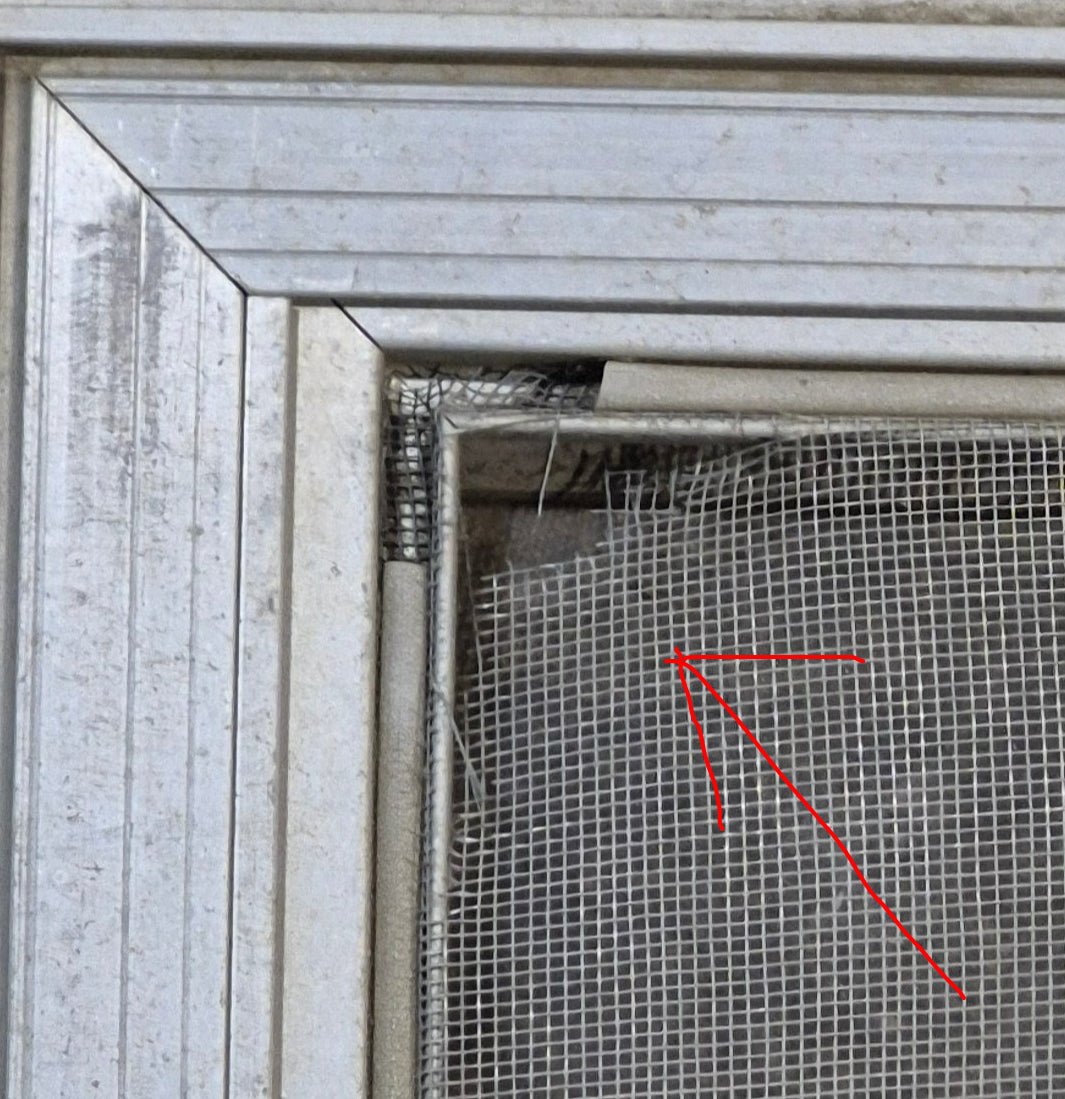 Used Silver Square Opening Window: 20" W x 8" H x 7/8" D - Young Farts RV Parts