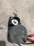 Used Slide Actuator Motor - Young Farts RV Parts