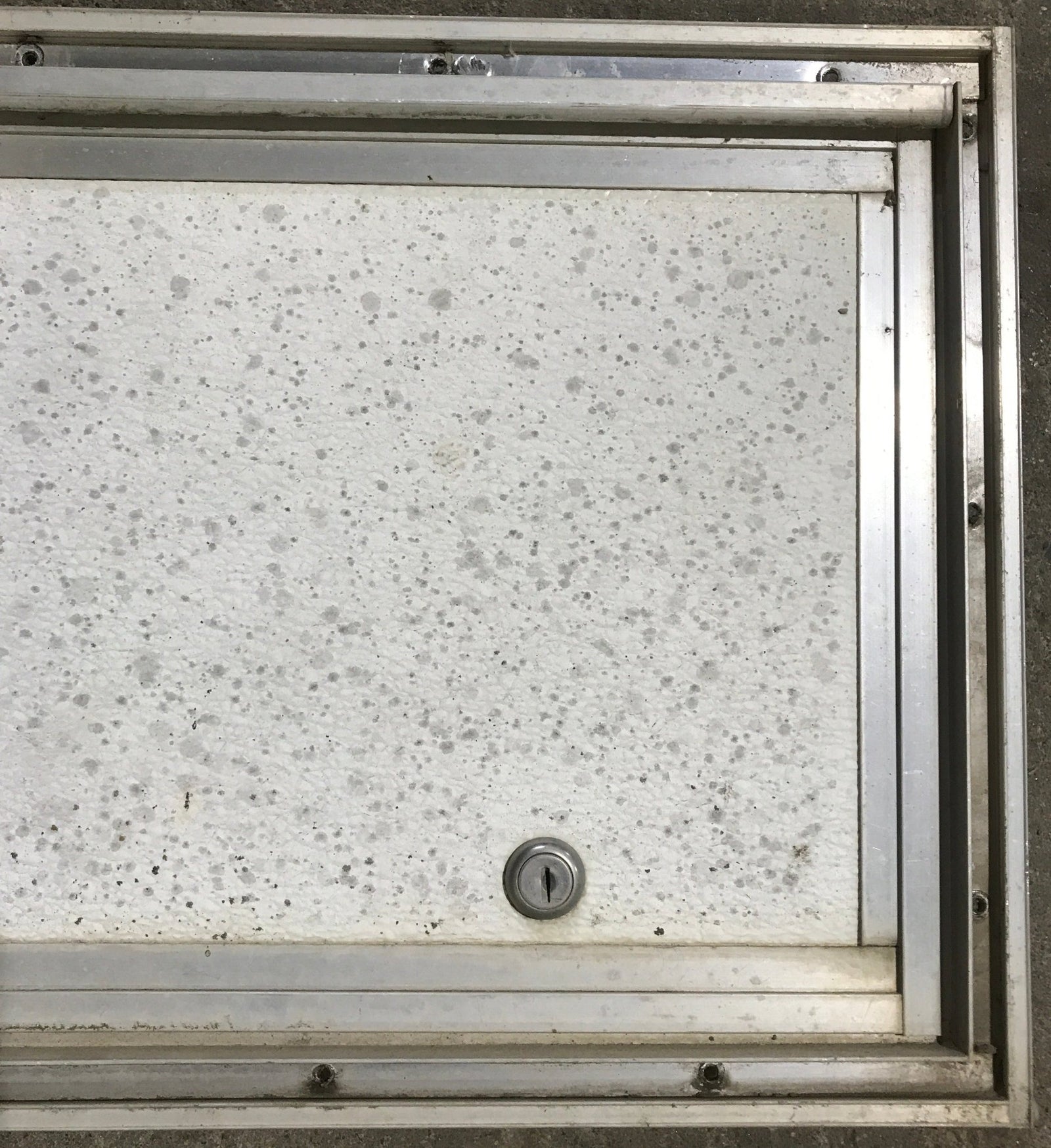 Used Square Cornered Cargo Door - 19 3/4