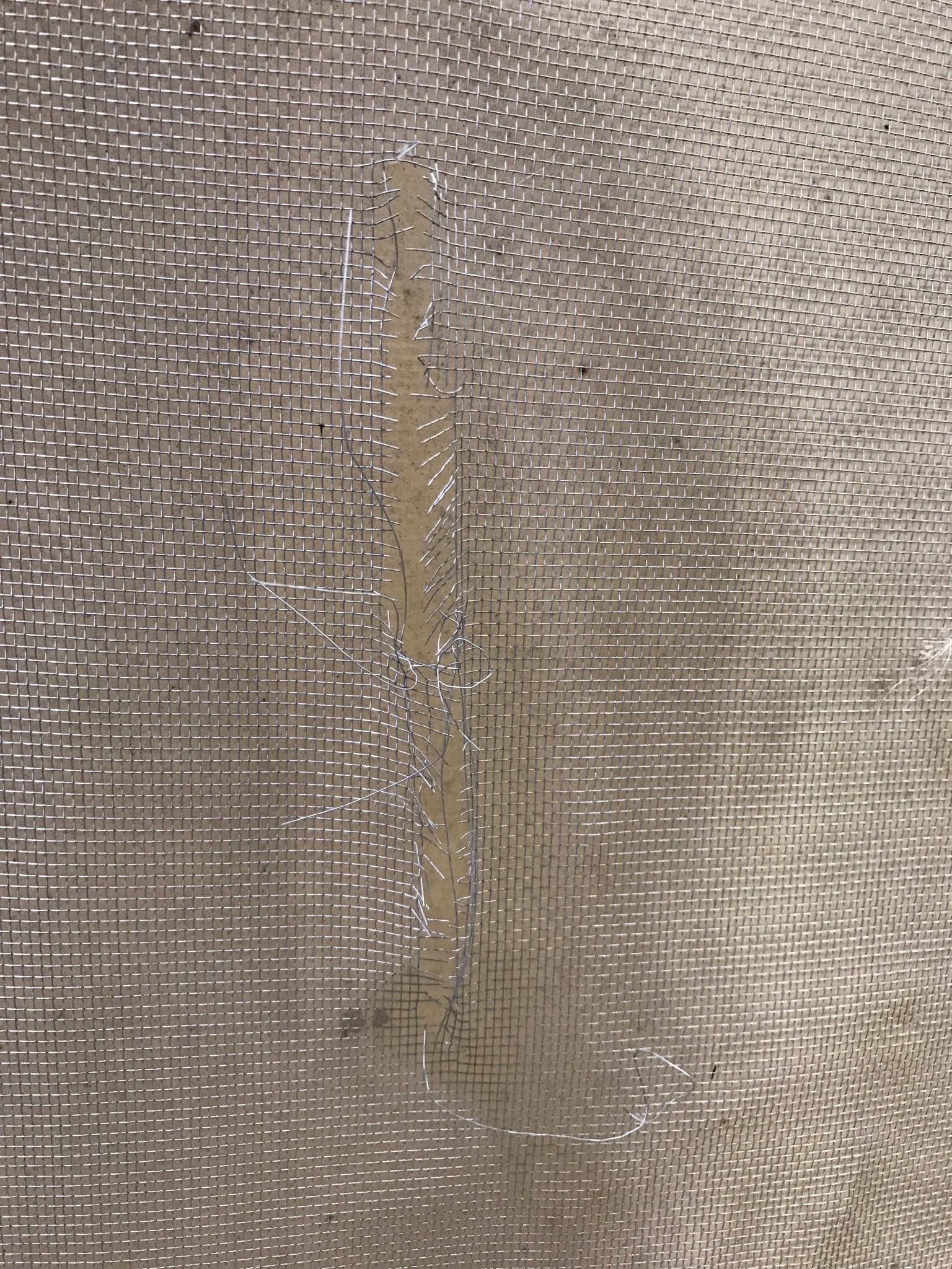 Used Tent Trailer Square Entry Door 23 7/8