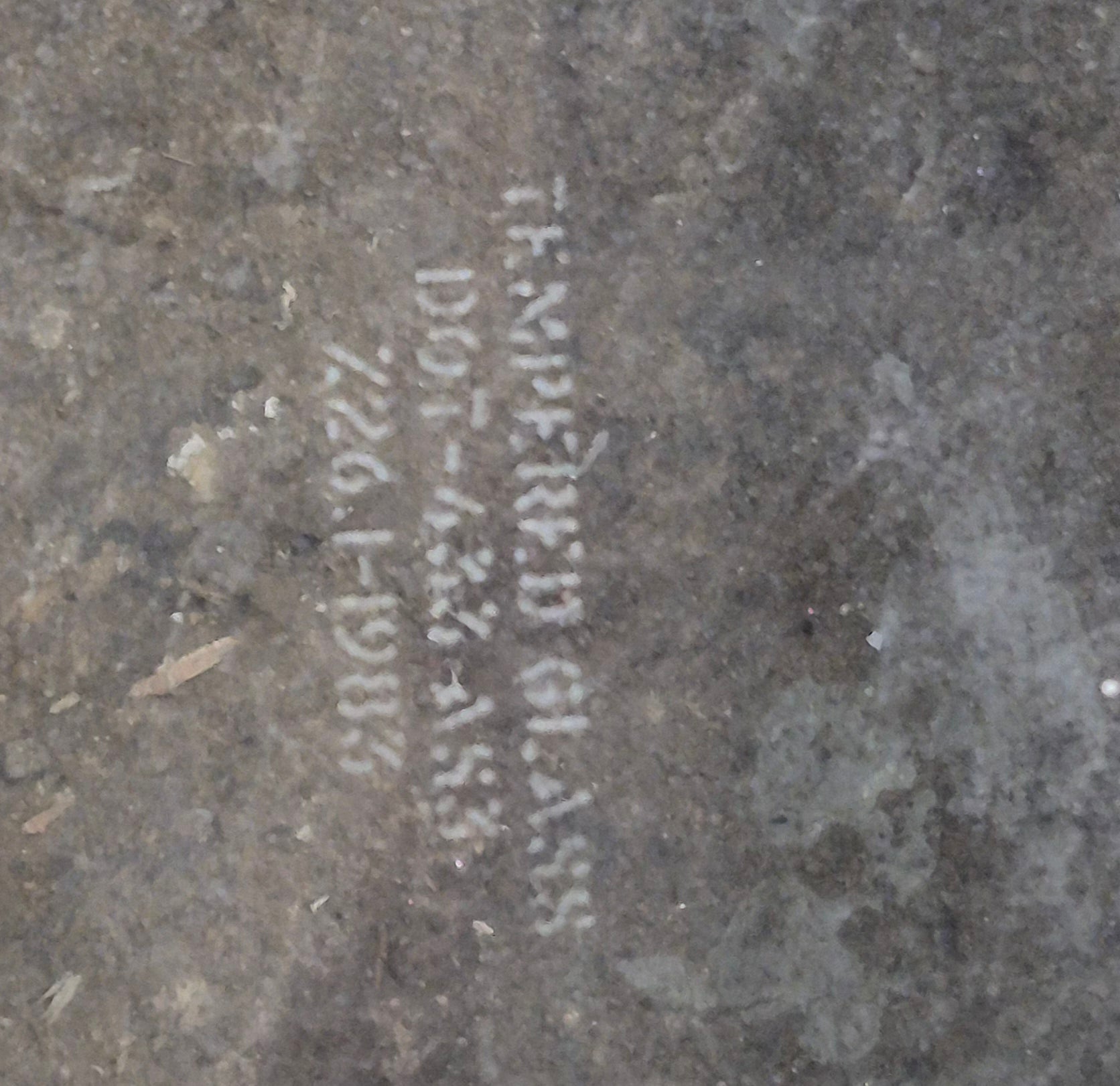 Used White Radius Opening Window : 23 1/4" W x 21 1/4" H x 1 3/4" D - Young Farts RV Parts