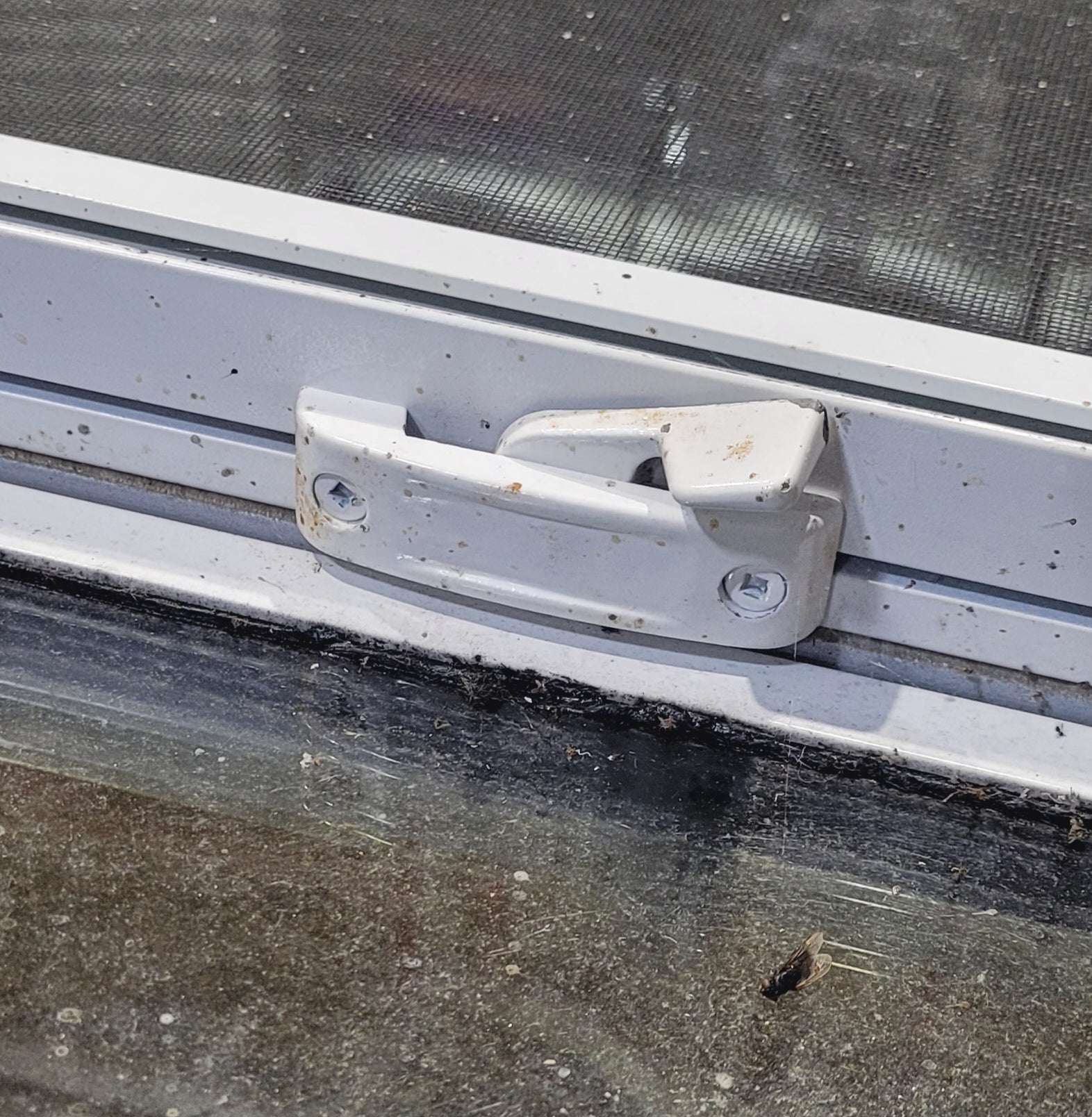 Used White Radius Opening Window : 36