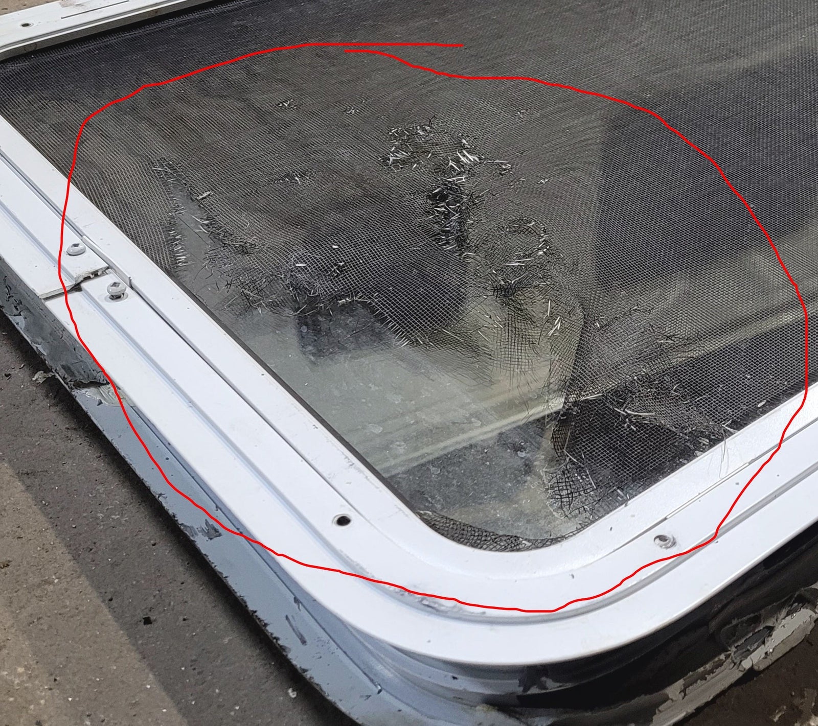 Used White Radius Opening Window : 54