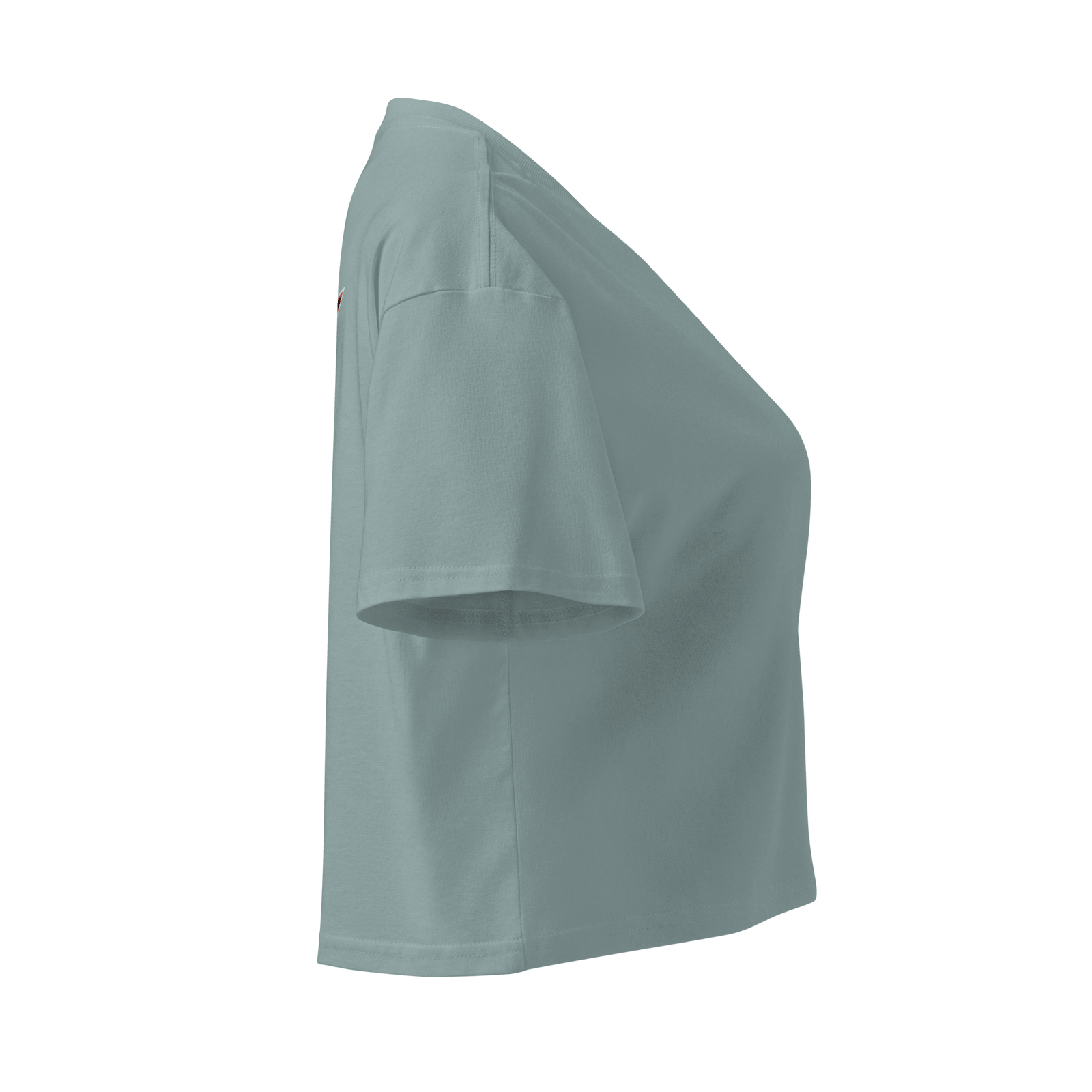Young Farts Women’s Crop Top - Young Farts RV Parts