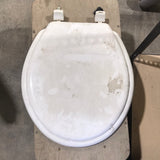 Used Toilet Seat Replacement