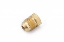 Load image into Gallery viewer, Fitting Plug/ Fitting Cap Anderson Fittings 704039-06 - Young Farts RV Parts