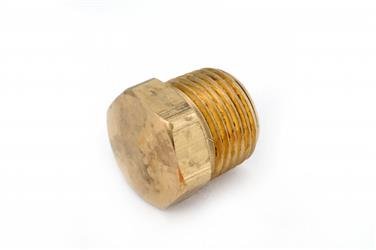 Fitting Plug/ Fitting Cap Anderson Fittings 706125-08 - Young Farts RV Parts