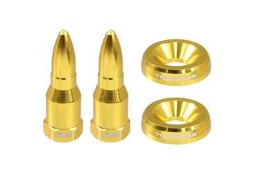 License Plate Mounting Hardware True Spike LPH005GD True Spike, Standard, Gold, Bullet Style - Young Farts RV Parts