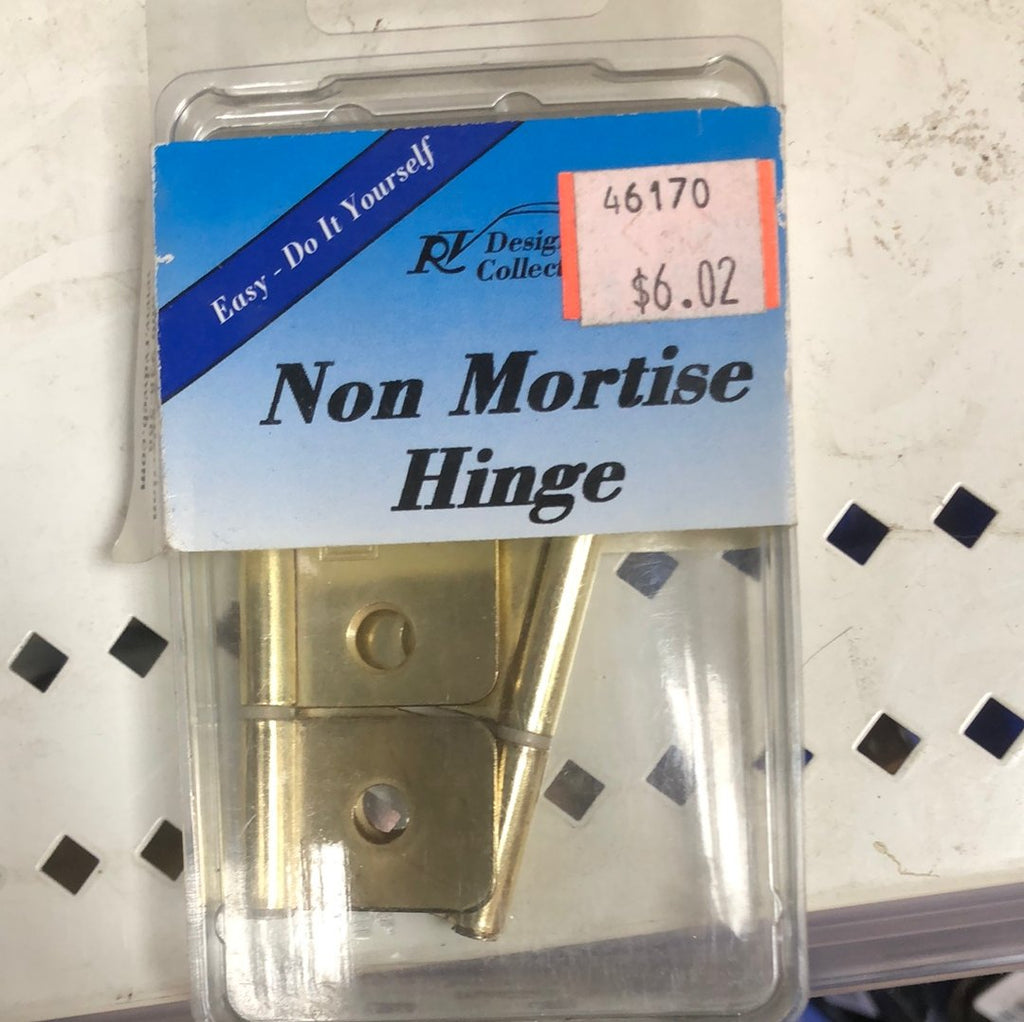 Non mortise hinge - Young Farts RV Parts