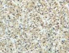 Load image into Gallery viewer, Shelf Mat Kittrich Corp 05F-C6P46-06 Grip Prints ™, 12&quot; Width x 5 Feet Length, Beige Granite - Young Farts RV Parts