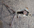 Used Manual Crank Camper Jack- Old Style - Young Farts RV Parts