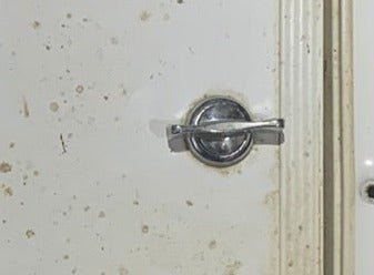 Used Radius Corner Cargo Door 59 3/4