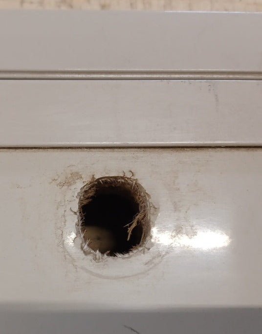 Used Radius Cornered Cargo Door 29 5/8